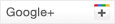 Google+