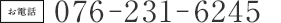 ���d�b076-231-6245