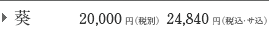 �� 25,000�~�i�ŕʁj31,050�~�i�ŁE�T���j