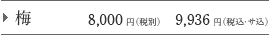 �~ 8,000�~�i�ŕʁj9,936�~�i�ŁE�T���j